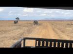 Culture n Safari